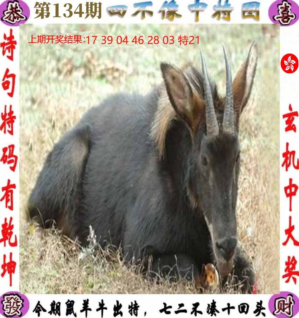 First Image
