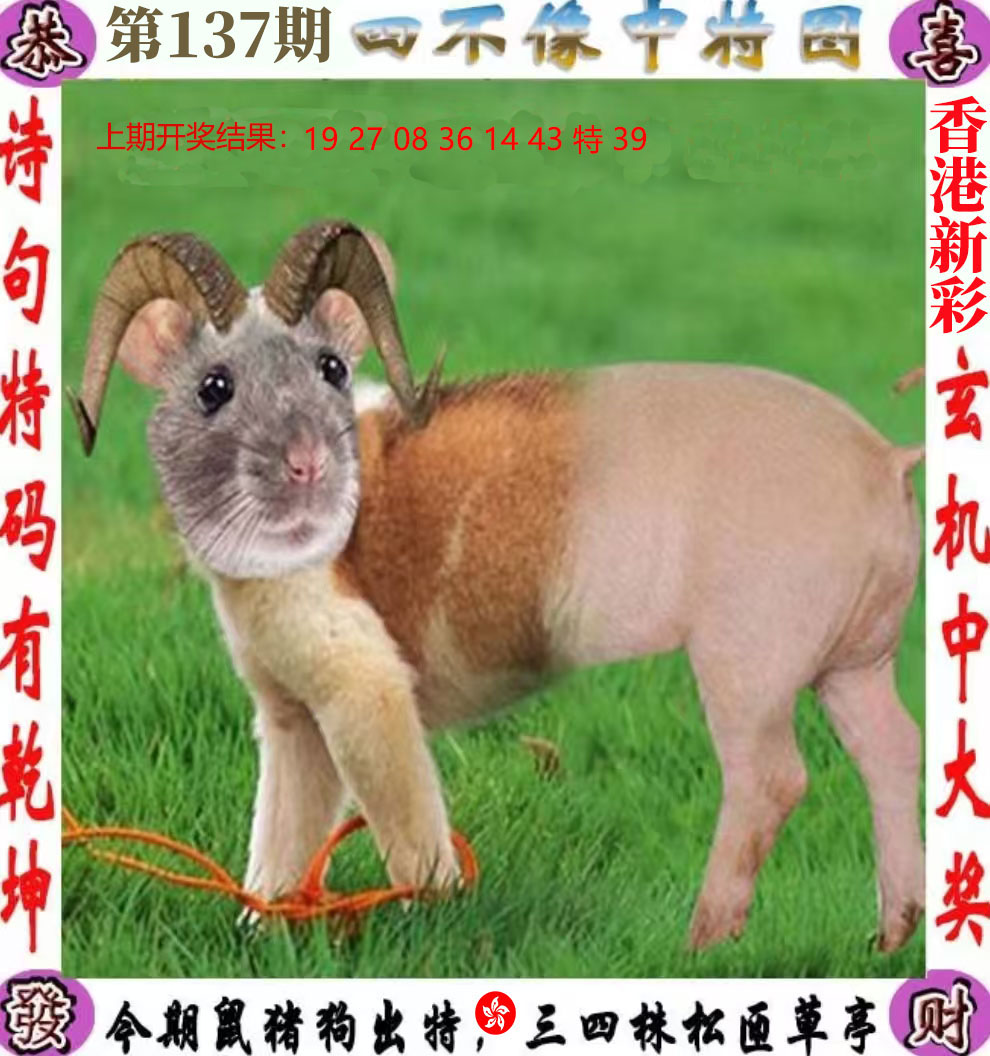 First Image