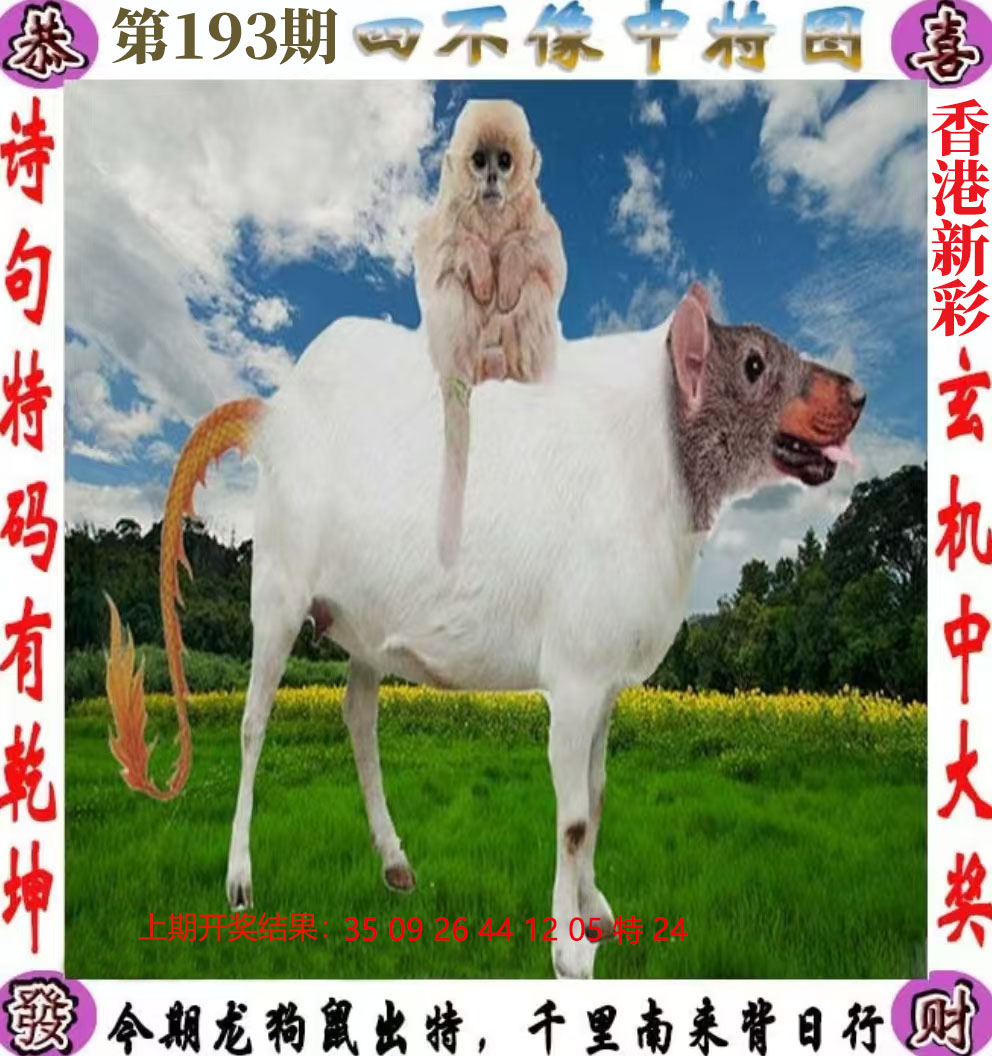 First Image