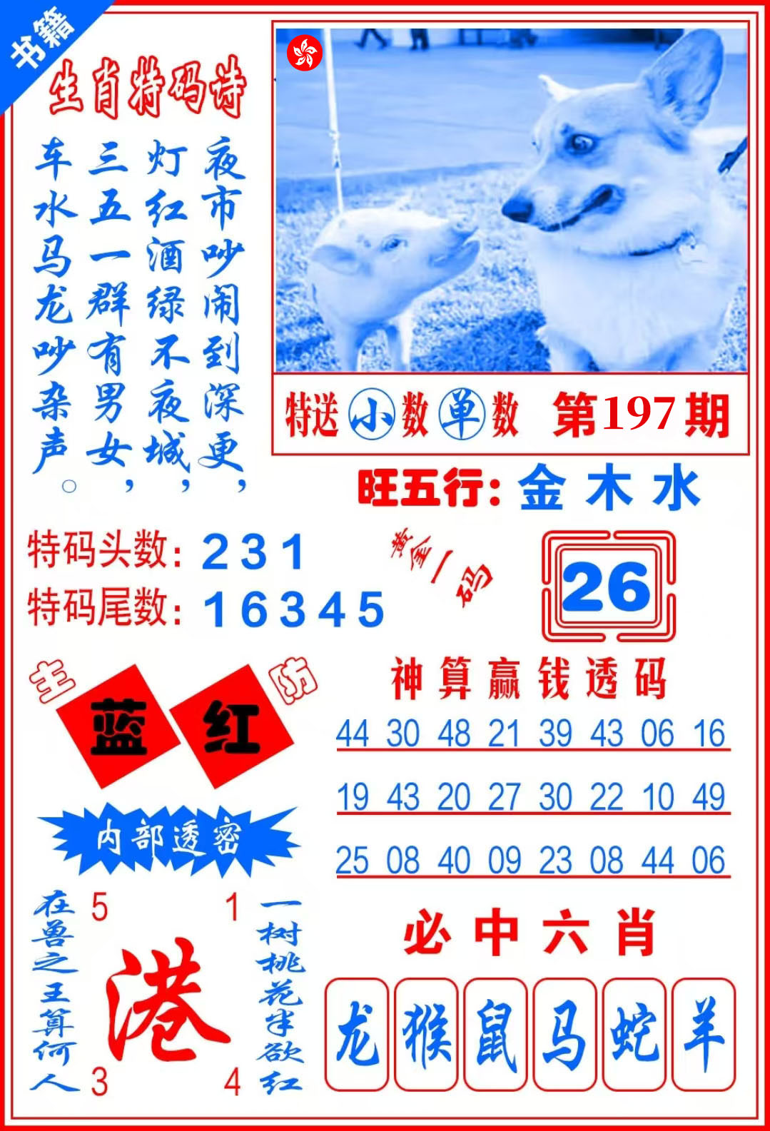 First Image