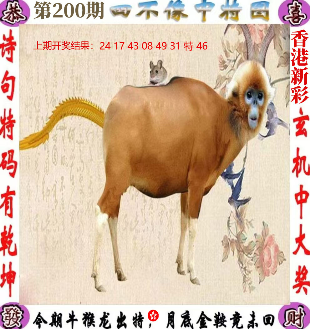 First Image