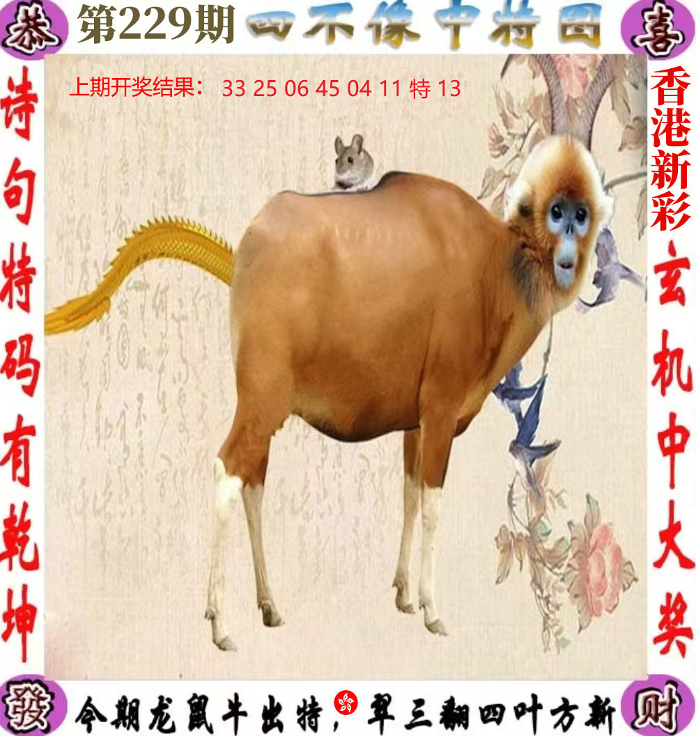 First Image