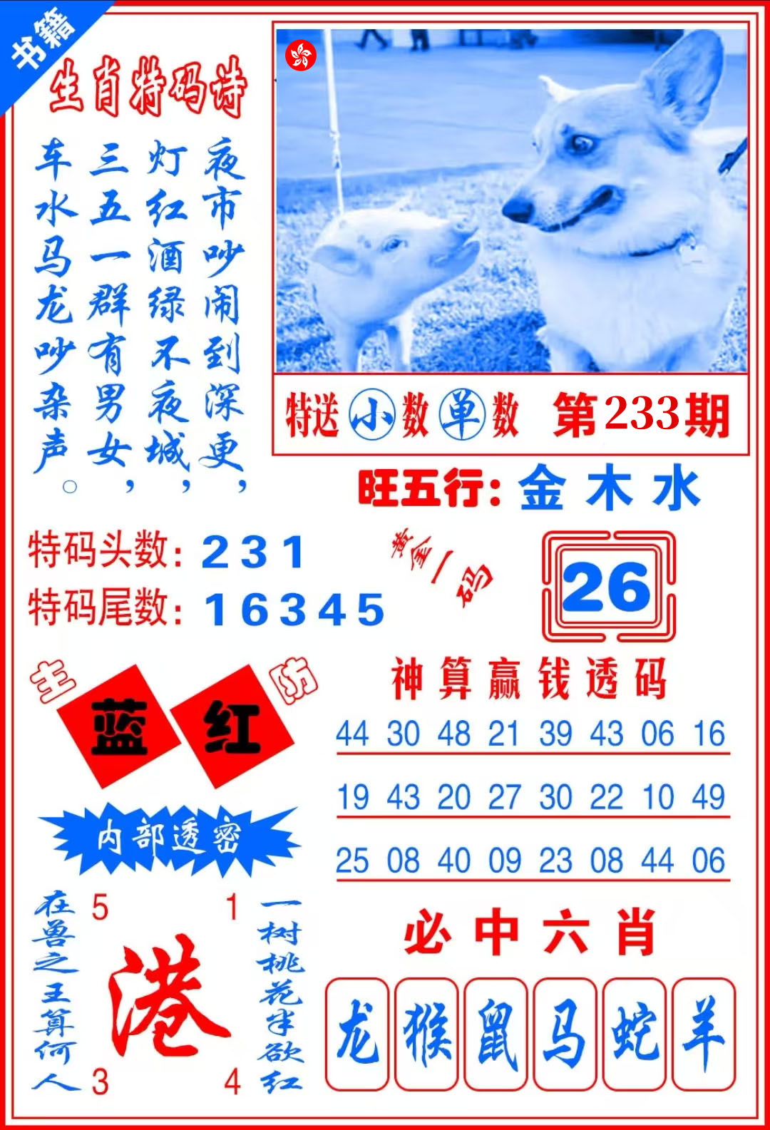 First Image