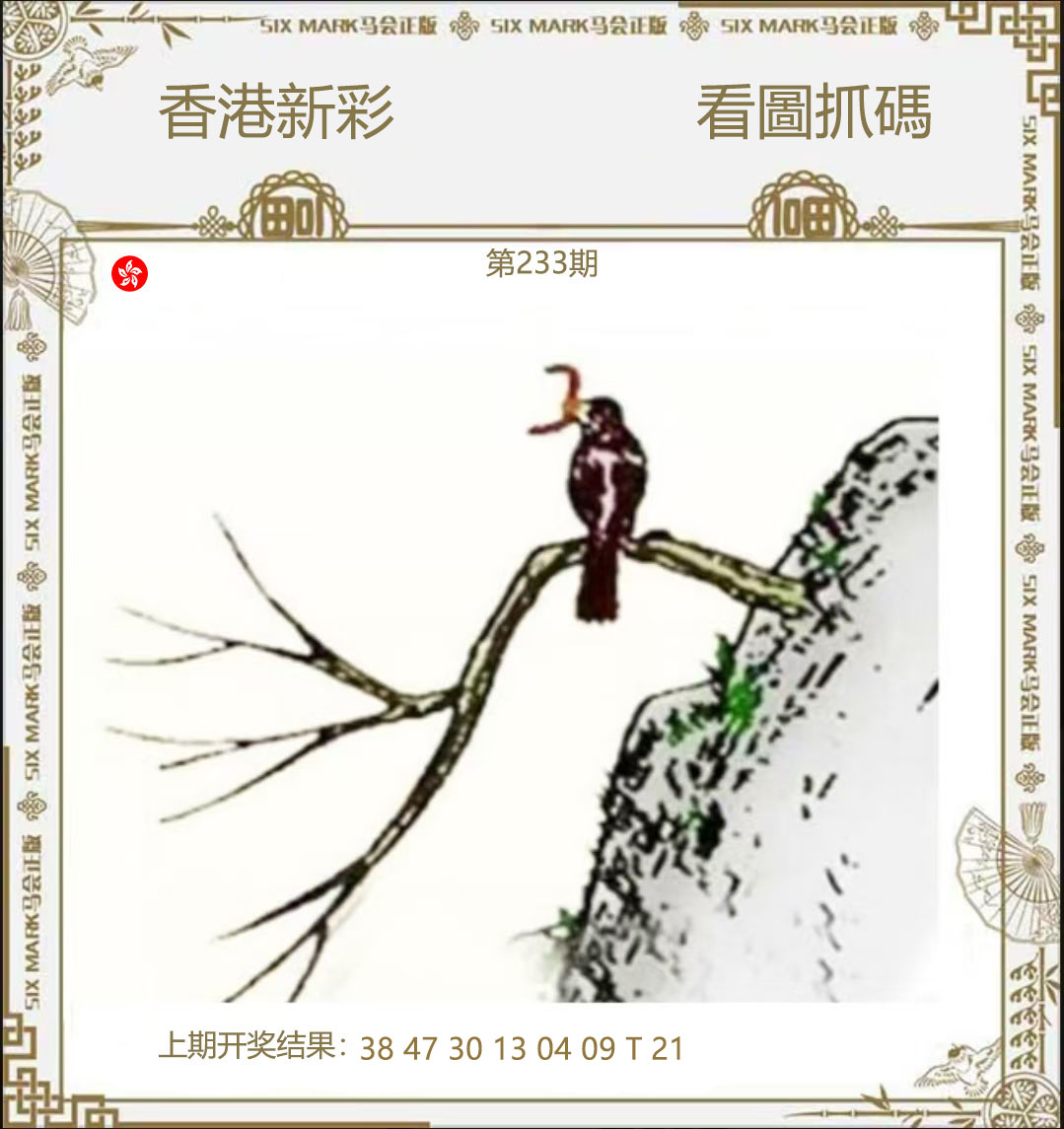 First Image